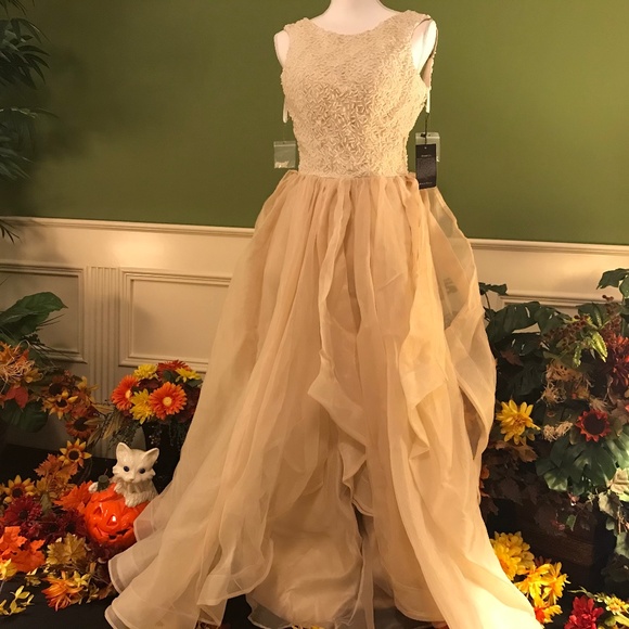 Dress Tells Dresses & Skirts - Formal evening Ball gown dress